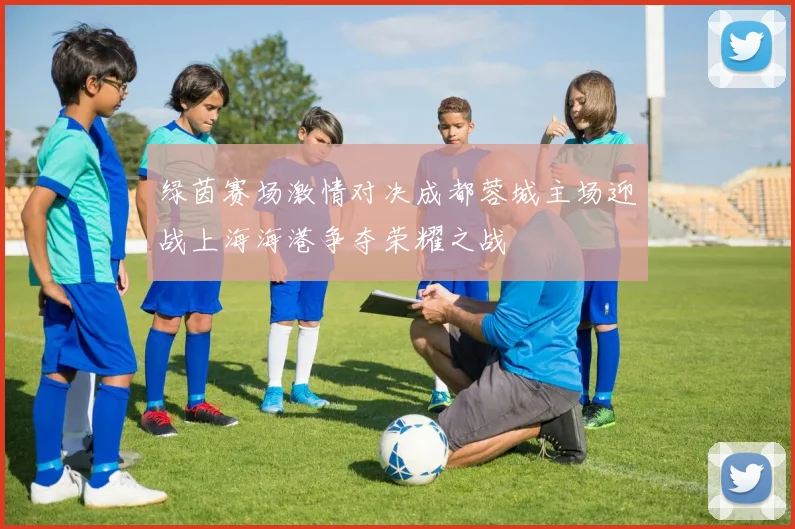 绿茵赛场激情对决成都蓉城主场迎战上海海港争夺荣耀之战